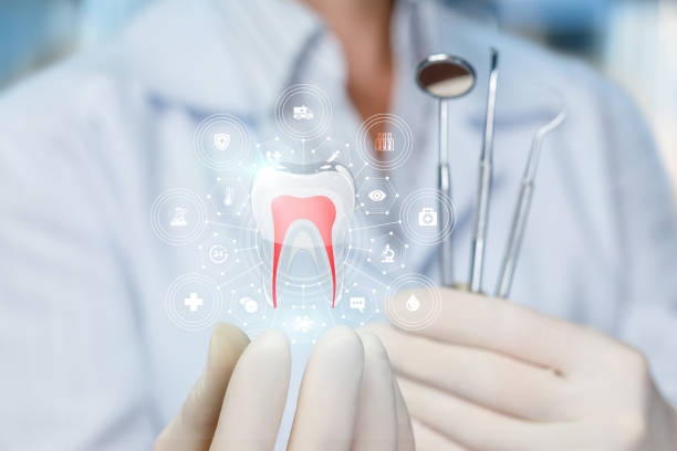 Professional Dental Services in Hurleyville, NY